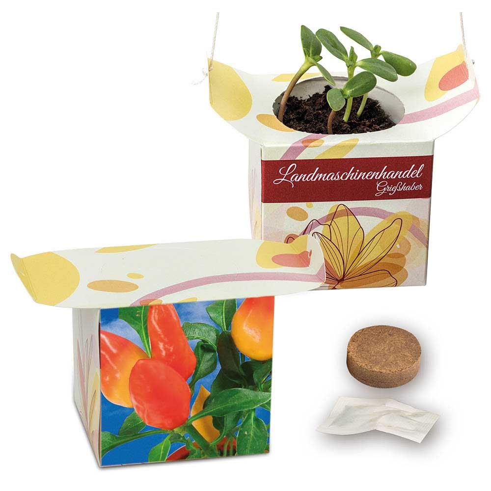 Blumenampel - Gewürzpaprika
