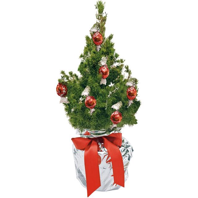 Schokotraum-B�umchen 35-45 cm