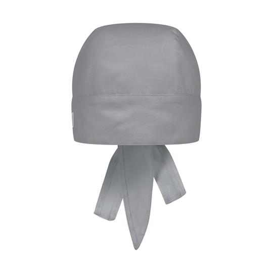 Platinum Grey (ca. Pantone 4283C)