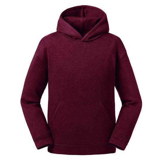 Kids Authentic Hooded Sweat