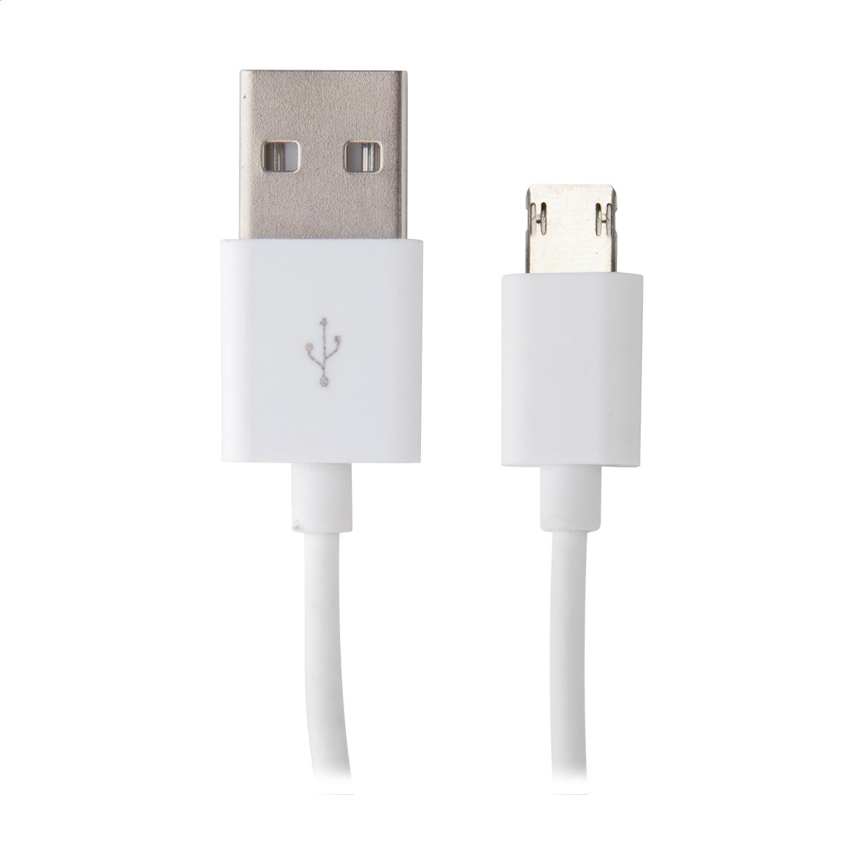 Powerbank