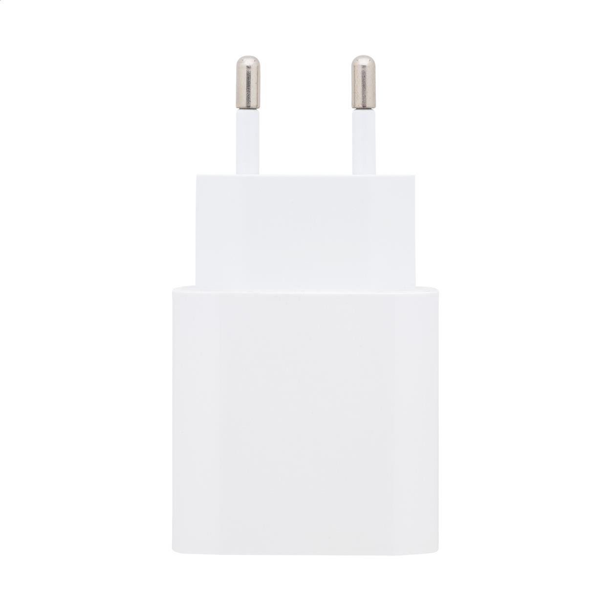 RABS USB C Wandladegerät