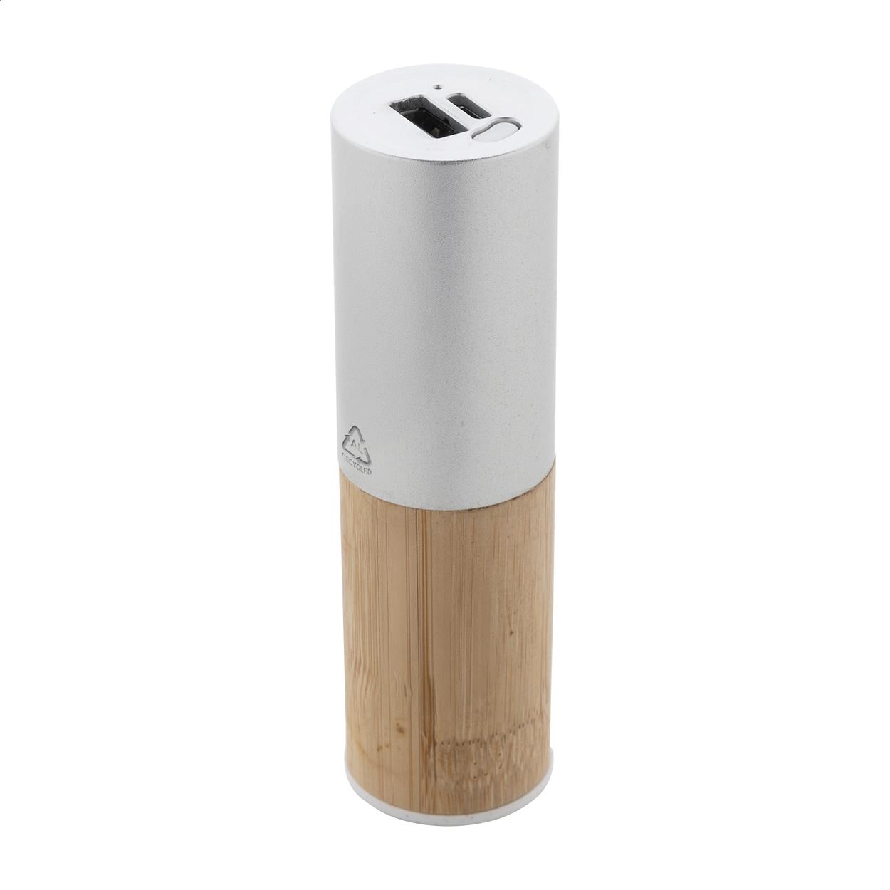 Powerbank