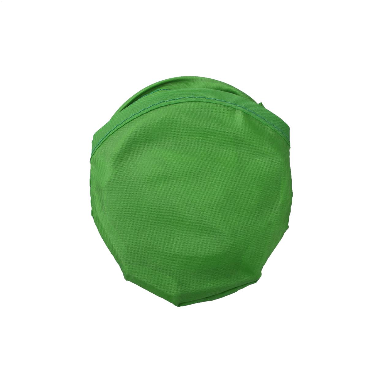 Frisbee