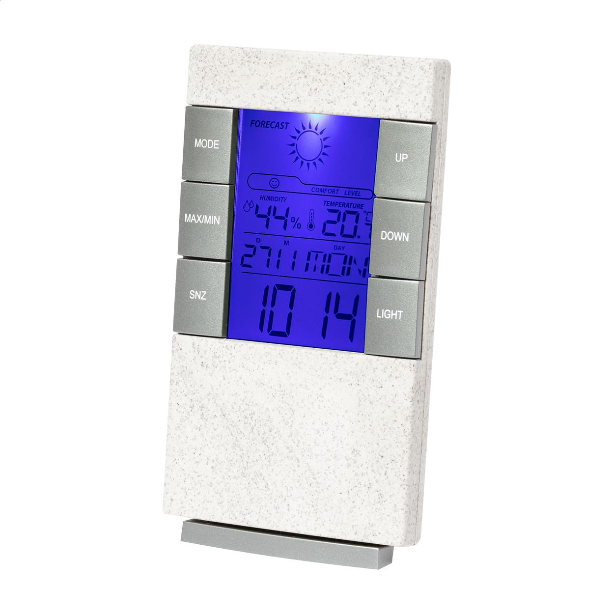 Wetterstation