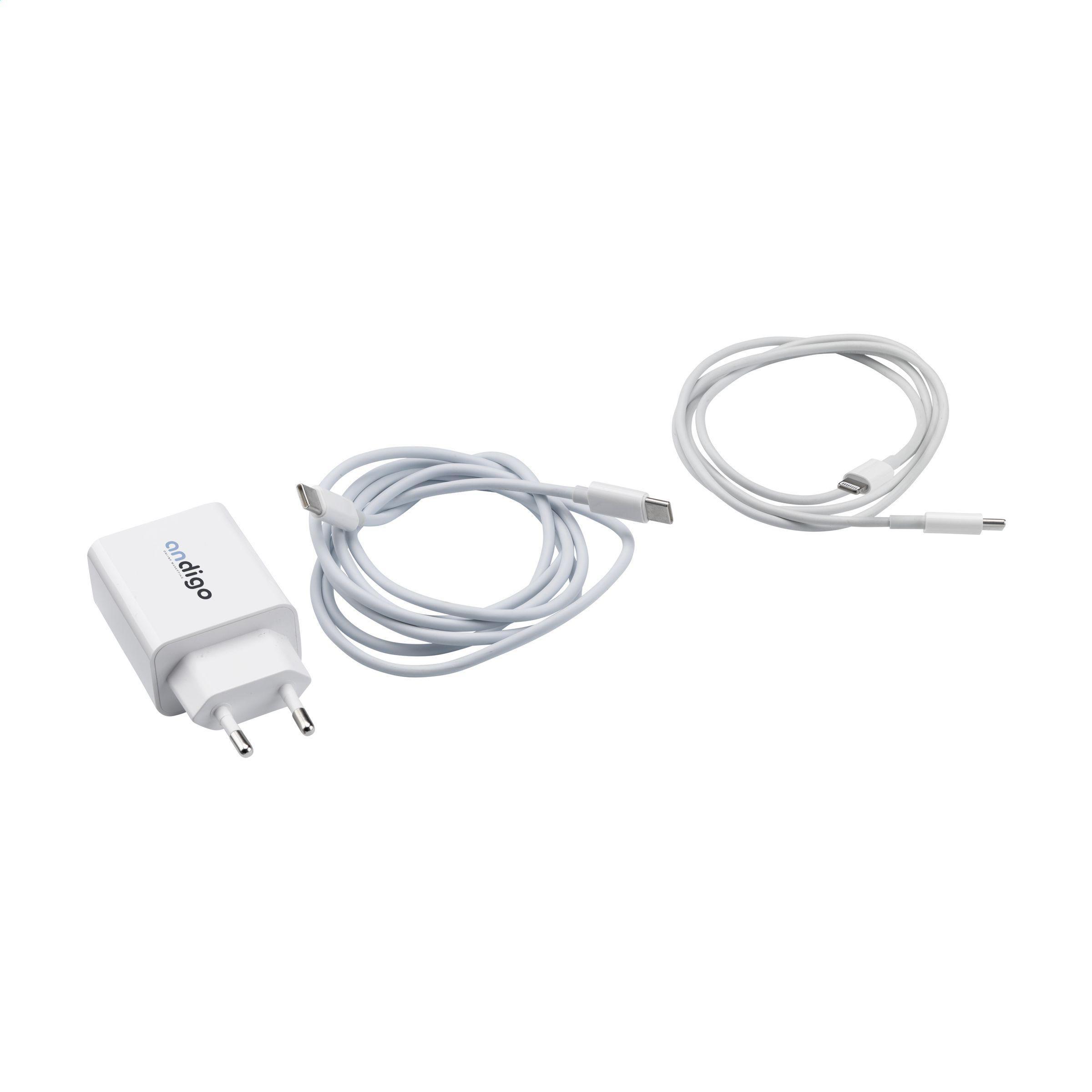 2-in-1 RCS Cable Charging Set Ladegerät-Set