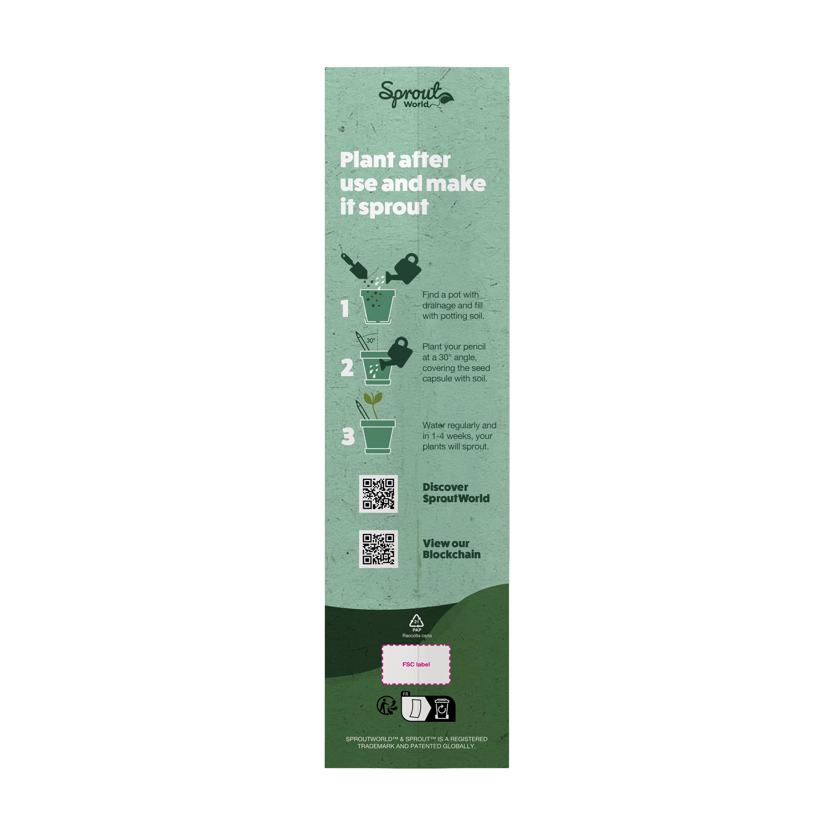 Einzelne Header-Karte für Sproutworld-Bleistift