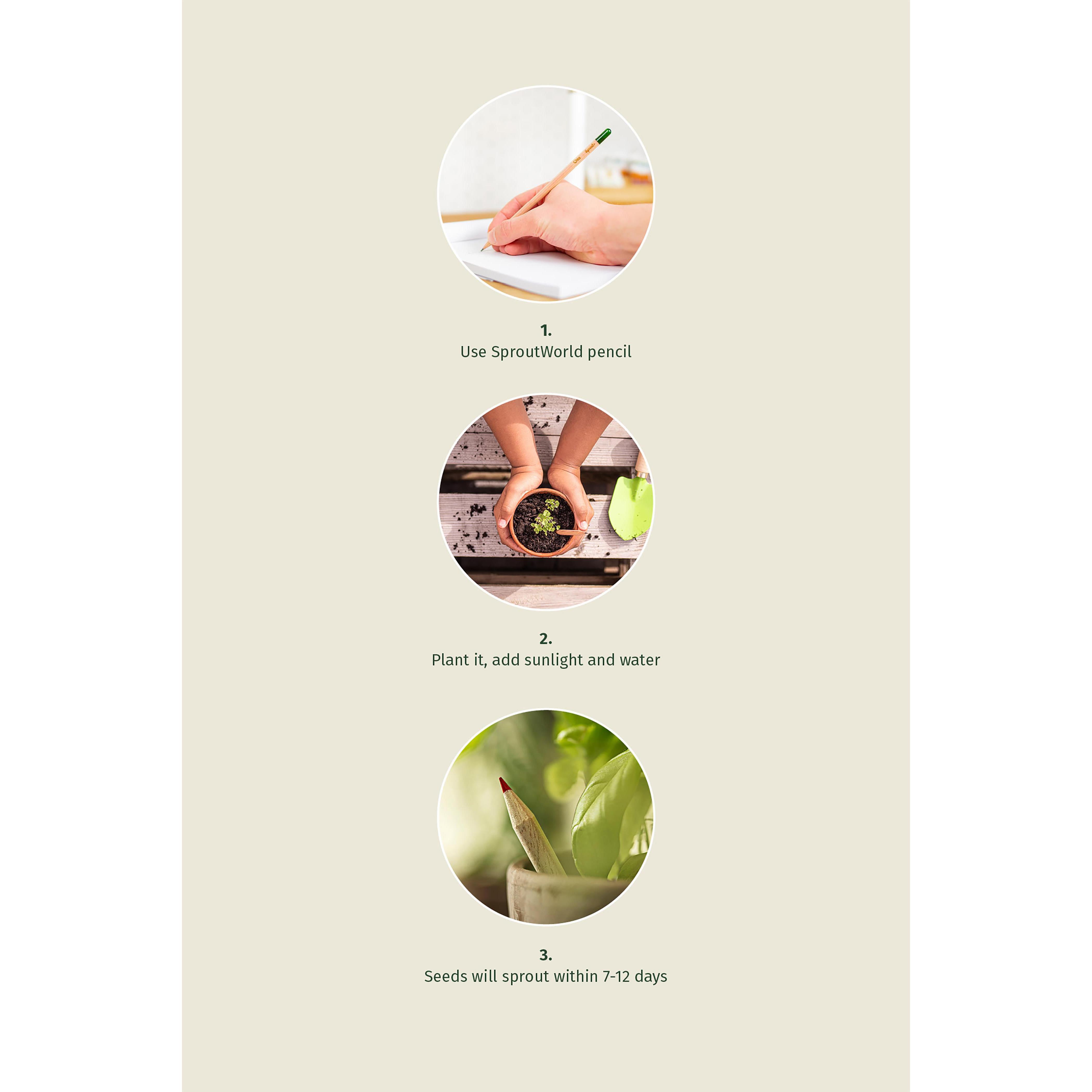 Sproutworld Set:  Sharpened Pencil & Header Card angespitzte Bleistift