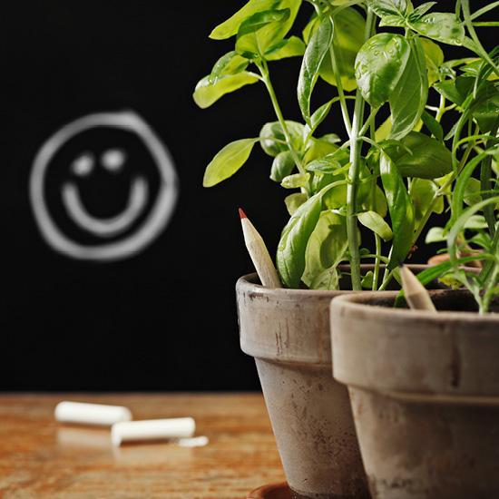 SPROUT - Farbstift