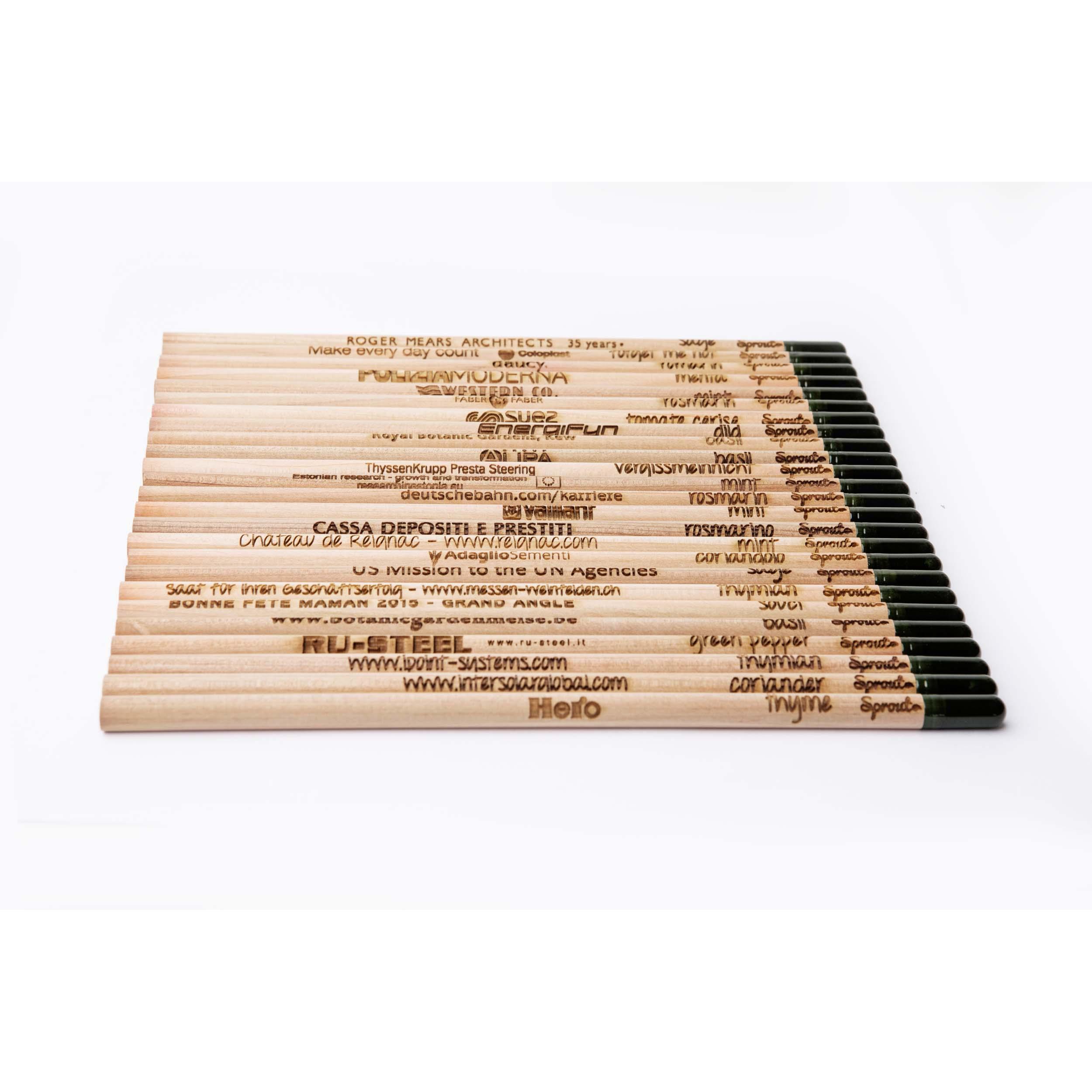 SPROUT - Farbstift mit grossem Standard Ansteckkärtchen