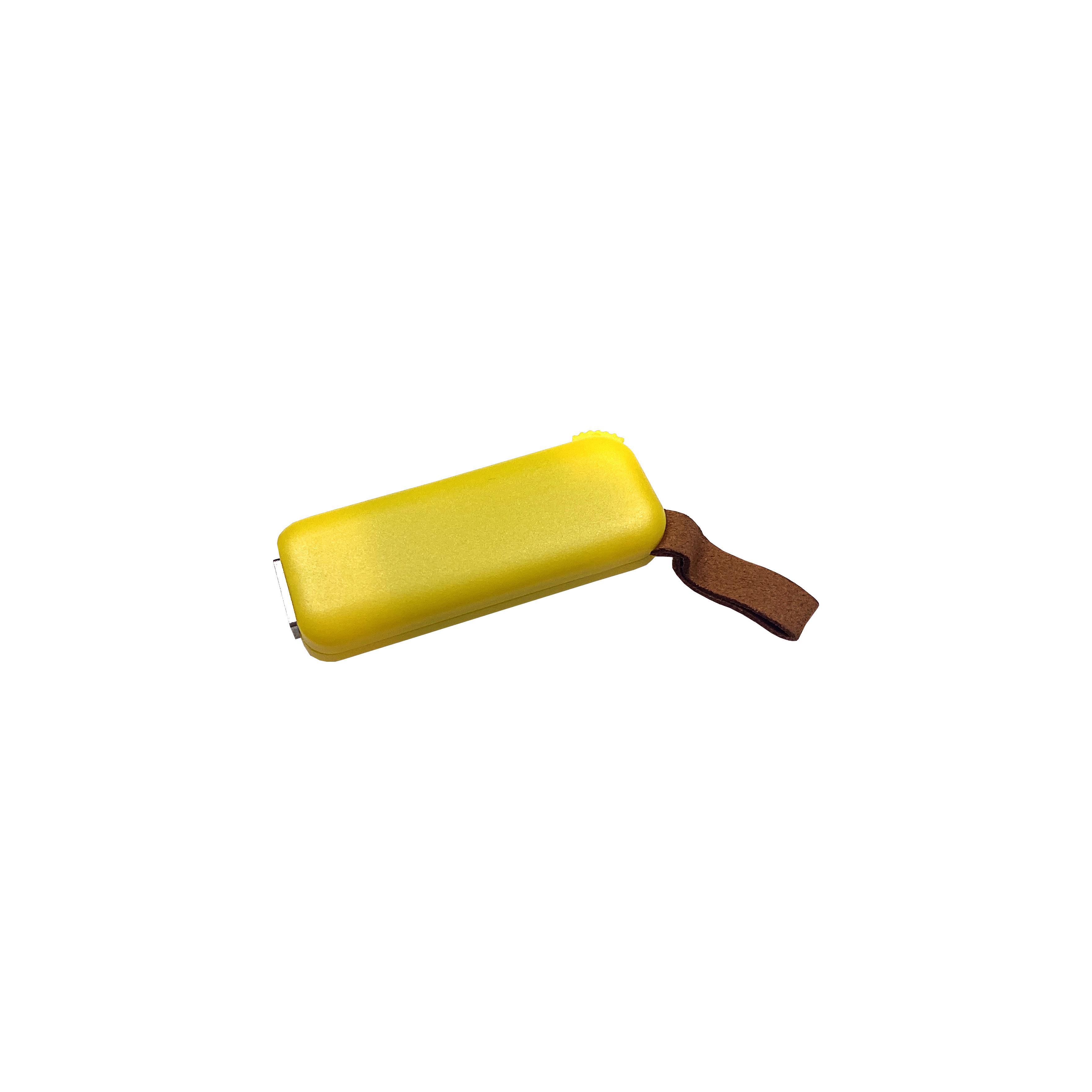 Modell F100 USB 2.0 Flash Disk  16 GB Gelb