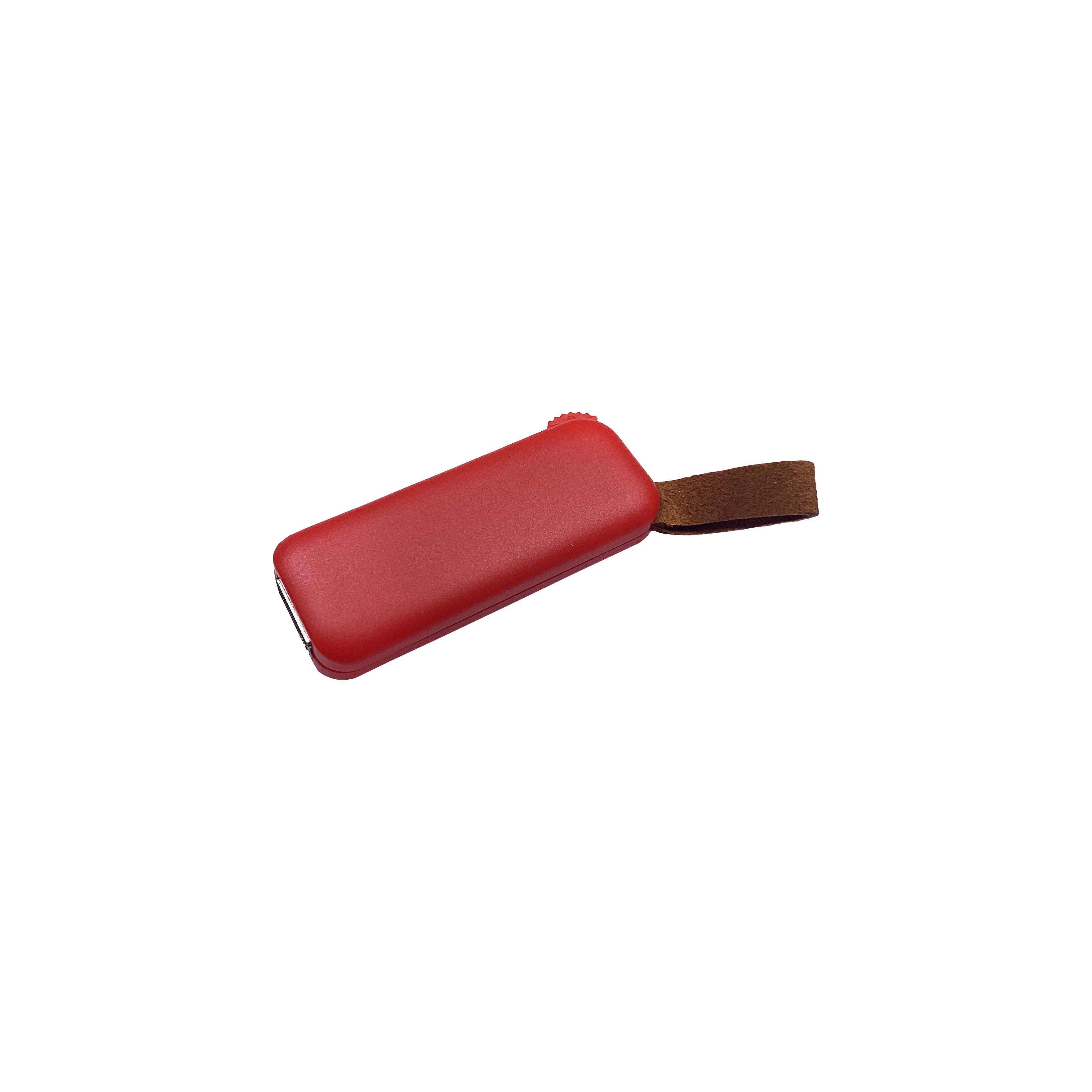 Modell F100 USB 2.0 Flash Disk  16 GB Rot